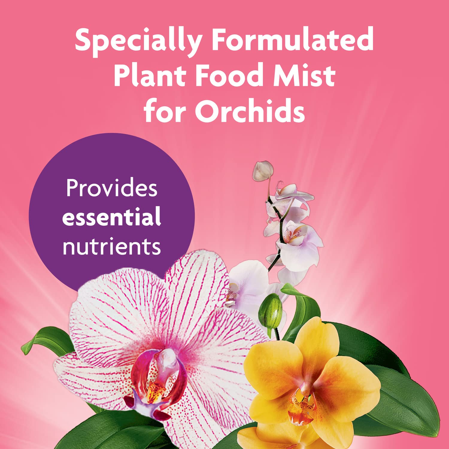 Miracle-Gro Orchid Food Mist leaves spray—targeted foliar feeding without flowers.