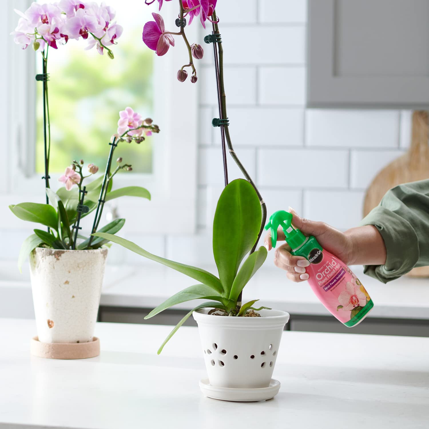Miracle-Gro Orchid Food Mist root spray—nourish roots between waterings.