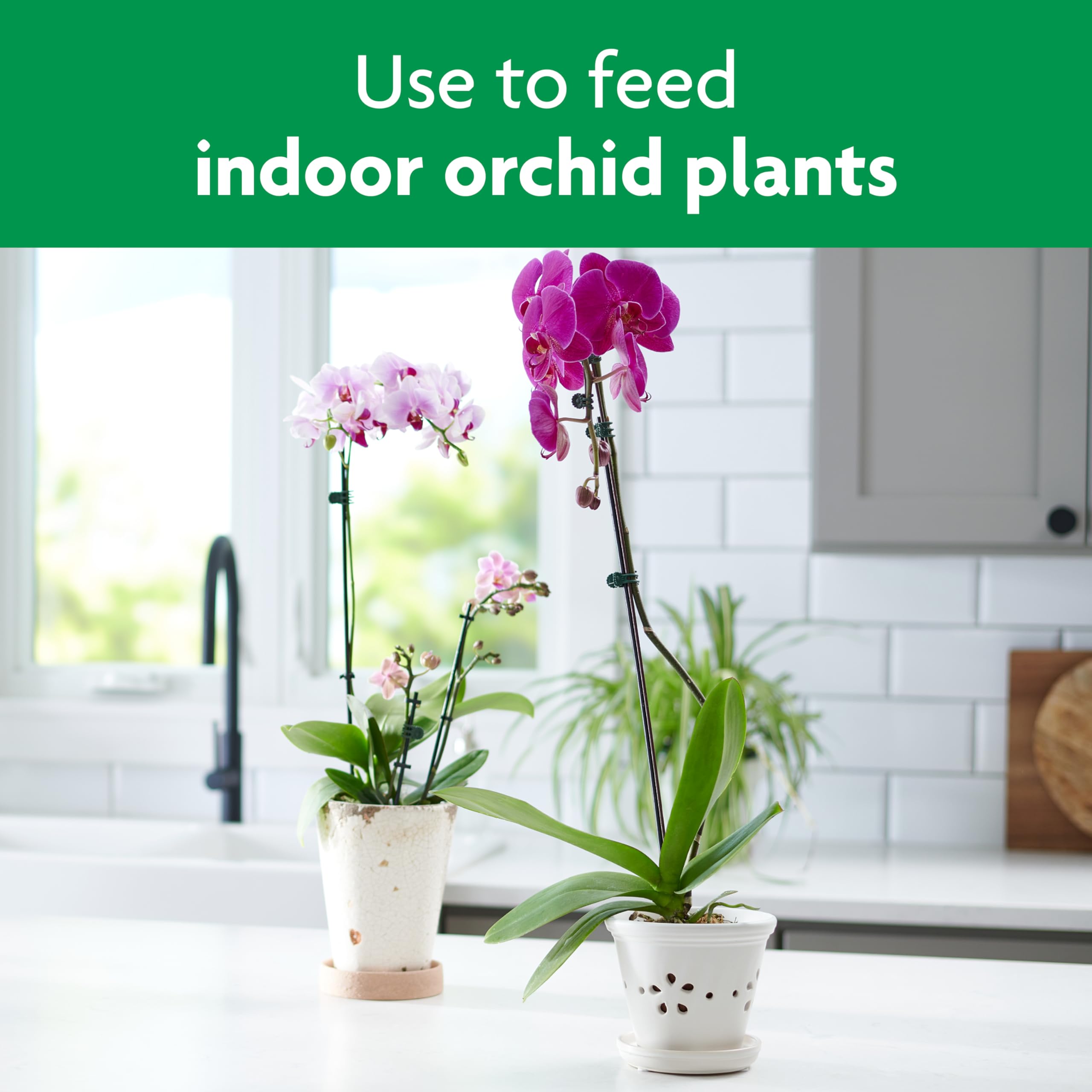 Miracle-Gro Orchid Mist label close-up highlighting balanced 0.02-0.02-0.02 formula