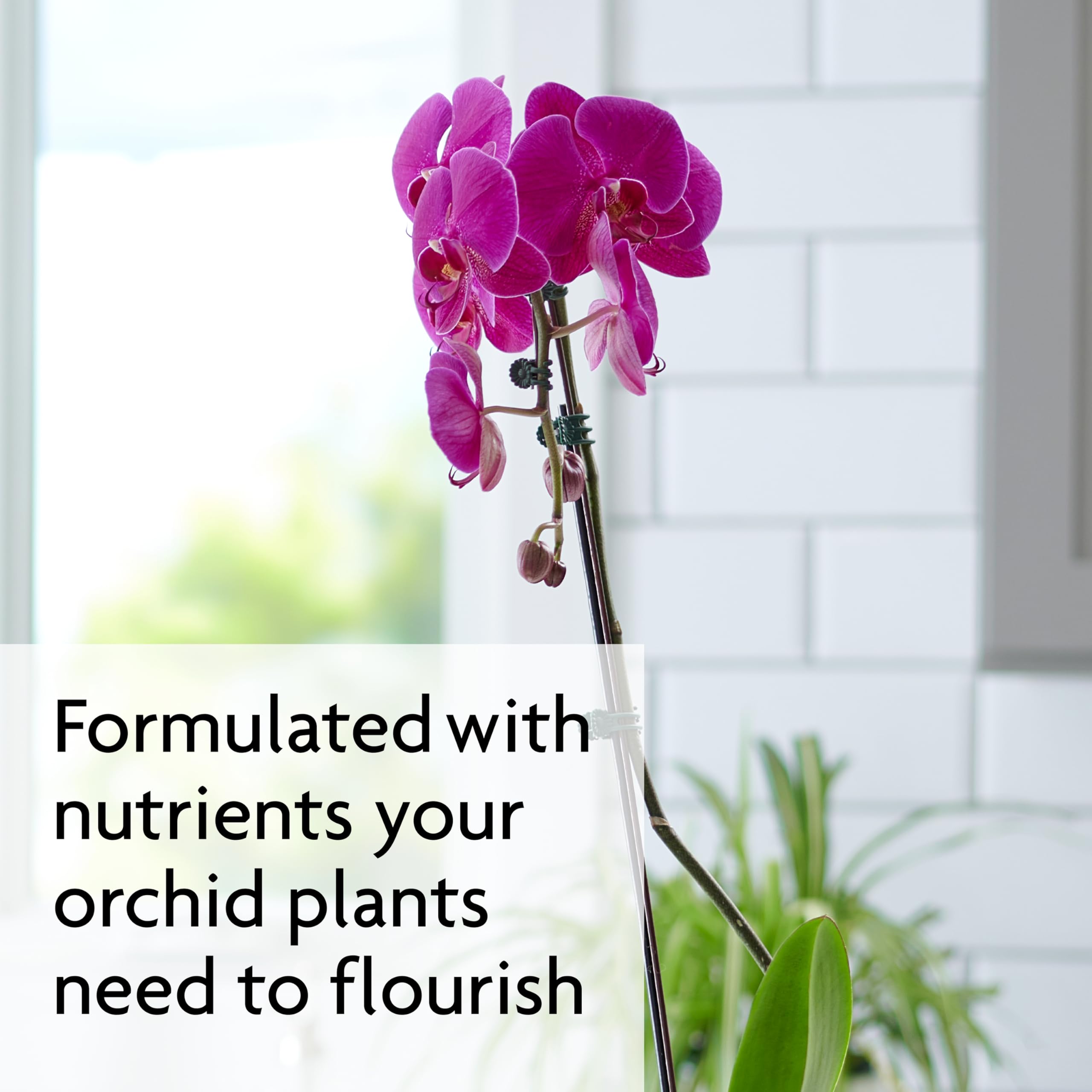 Miracle-Gro Orchid Mist bottle with orchid pot demonstrates simple weekly feeding