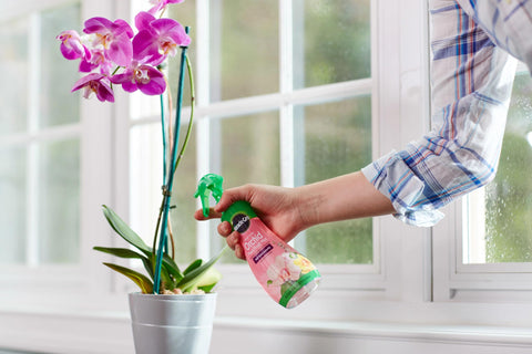 Miracle-Gro orchid care kit with two bottles ready to use