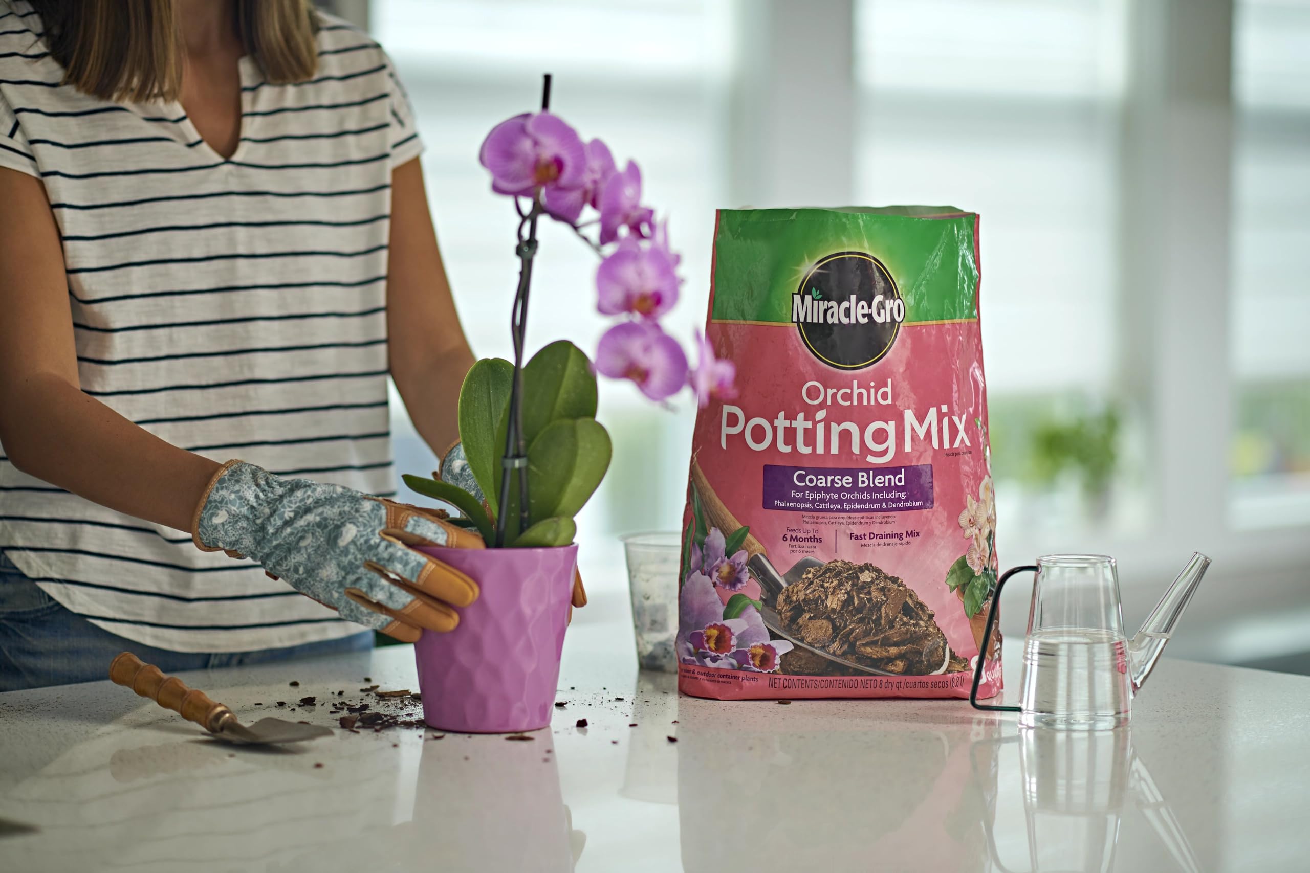 Miracle-Gro orchid potting mix coarse blend supports cattleya epidendrum and dendrobium varieties