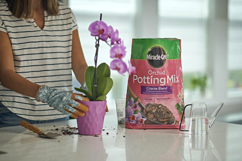 Miracle-Gro orchid potting mix coarse blend supports cattleya epidendrum and dendrobium varieties
