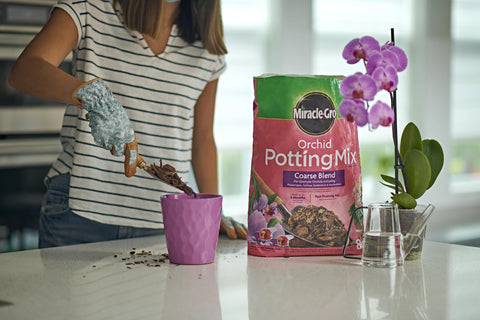 Miracle-Gro orchid potting mix coarse blend ideal for epiphytic orchids indoors or outdoors