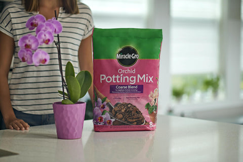 Miracle-Gro orchid potting mix coarse blend fill pot about one-third before planting