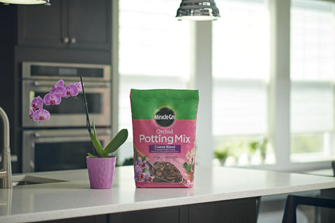 Miracle-Gro orchid potting mix coarse blend loosen root ball before repotting