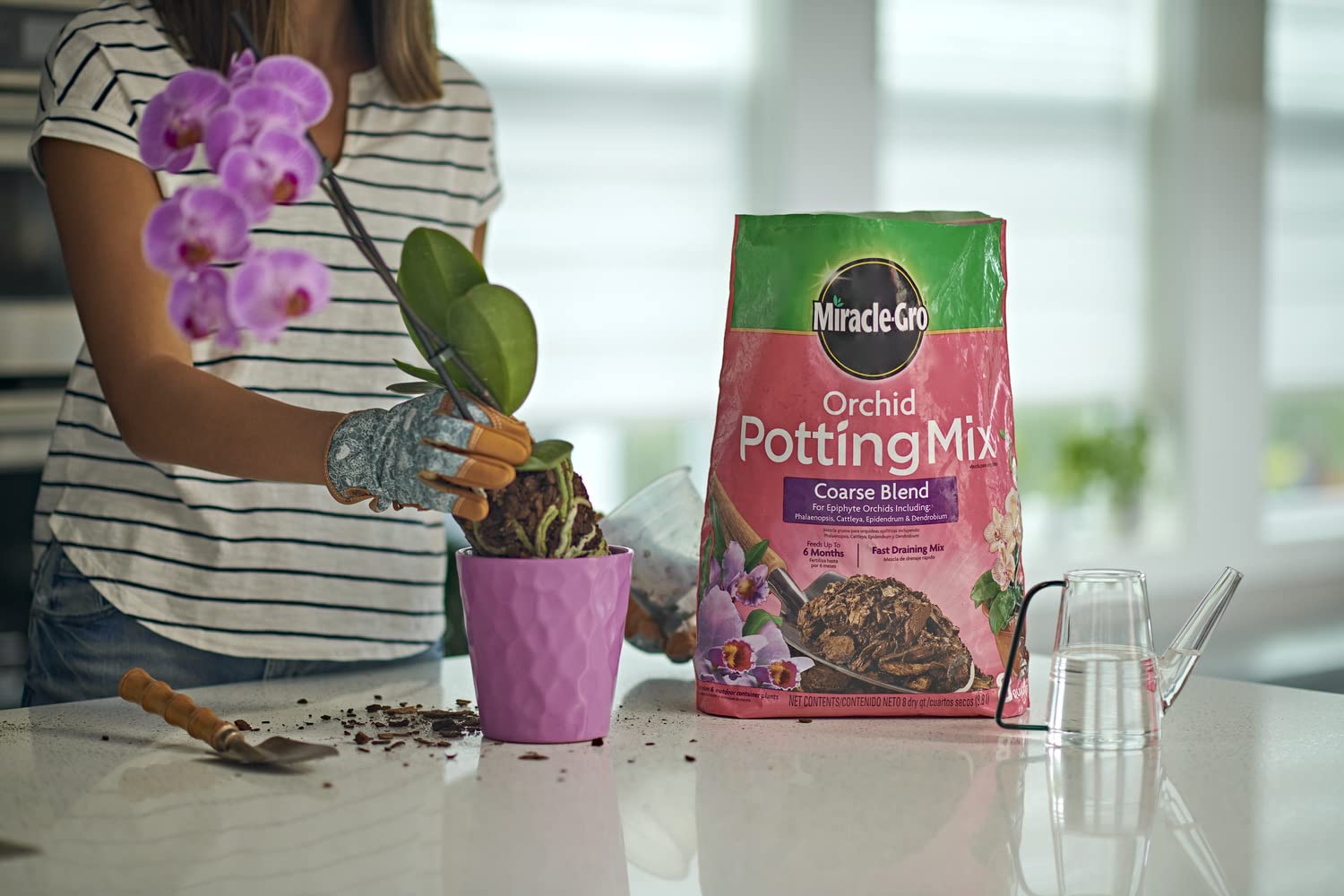 Miracle-Gro orchid mix shown in repotting setup promoting dryness between waterings.