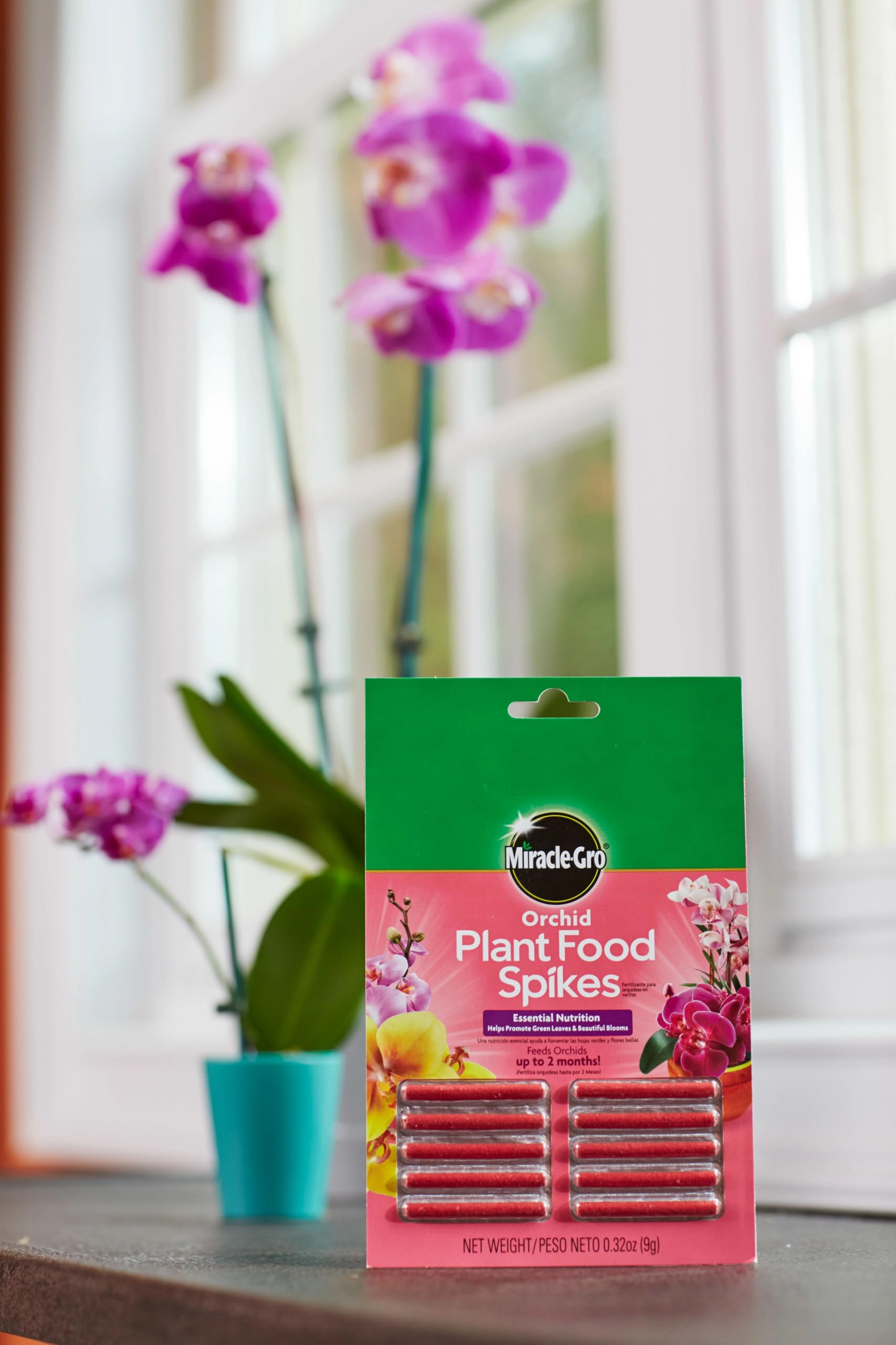 Vibrant orchids with lush leaves and blooms after consistent feeding.