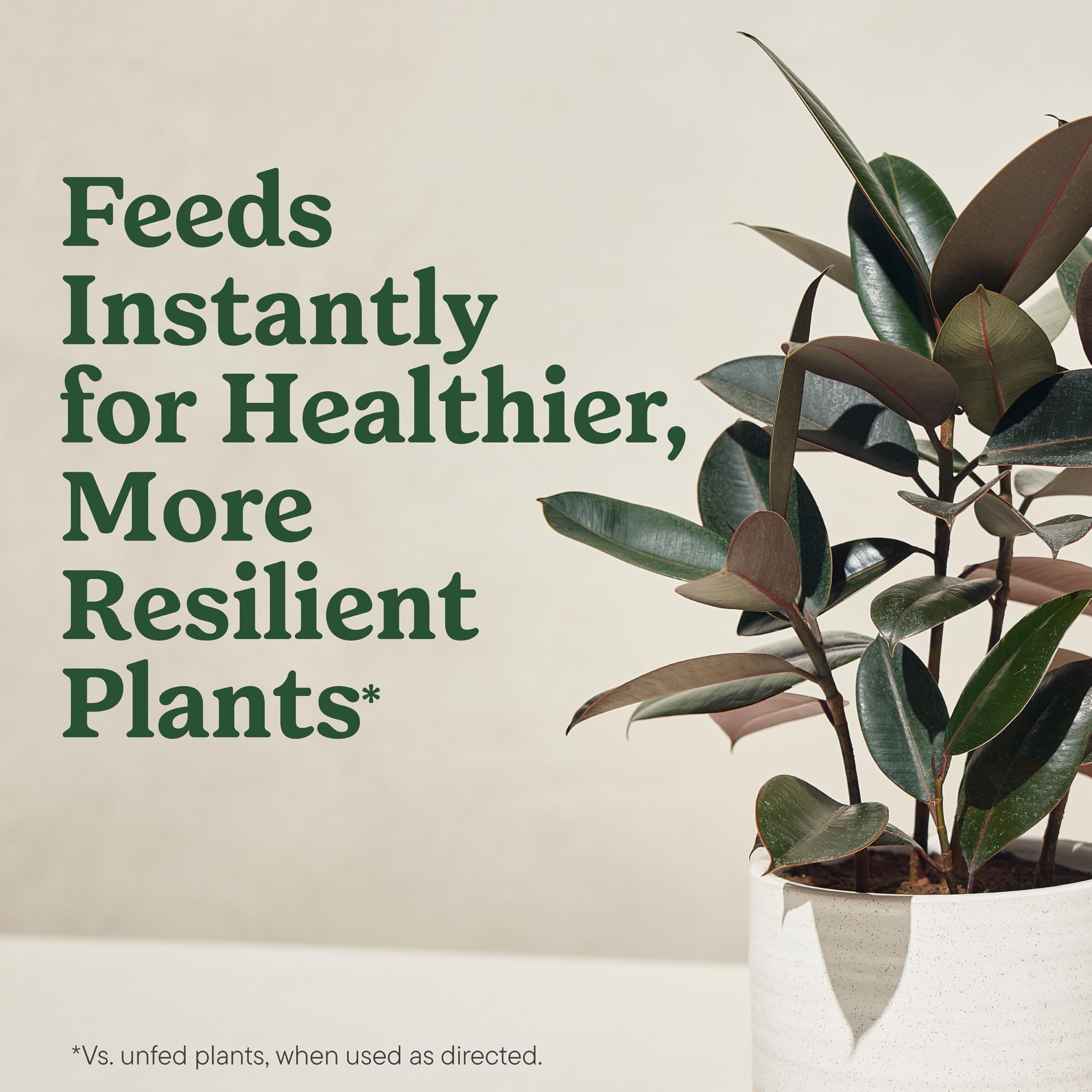 Miracle-Gro Organic Indoor Plant Food two-bottle pack supports ongoing plant nutrition