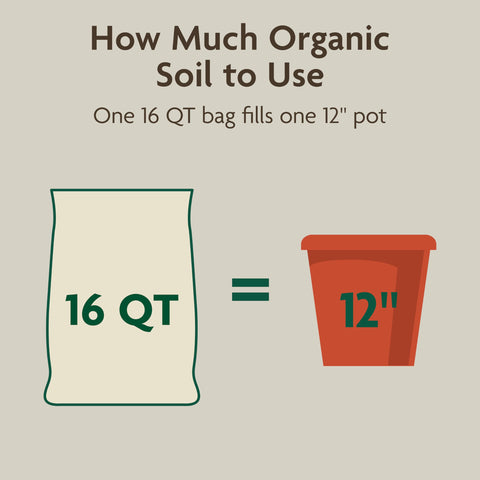 16 qt bag of Miracle-Gro Organic Indoor Potting Mix ready for indoor containers
