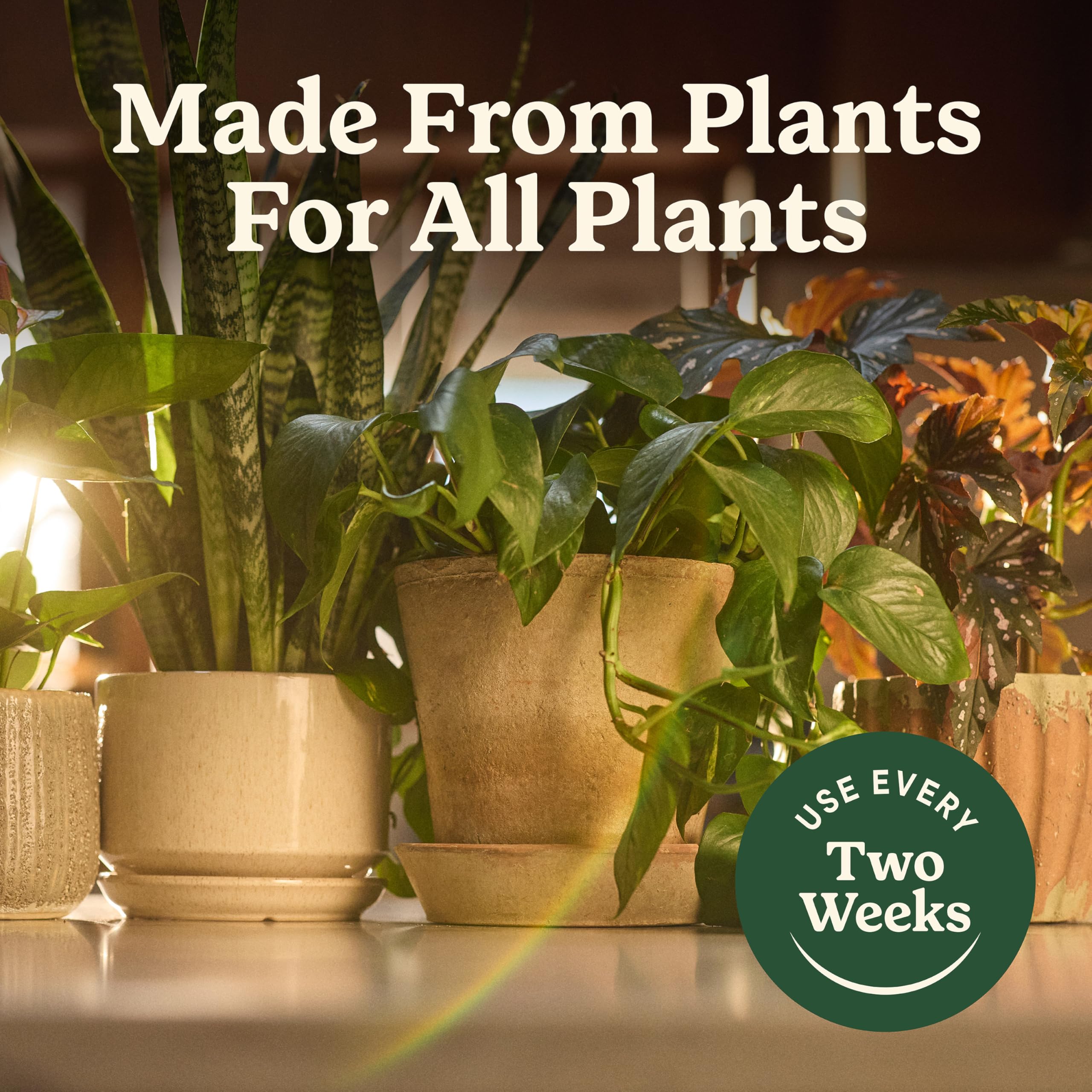 Miracle-Gro Organic Indoor Plant Food on windowsill supports thriving indoor greenery