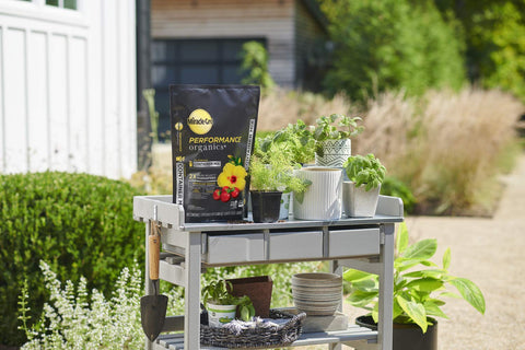 Container soil feeding for up to 3 months in indoor and outdoor pots.