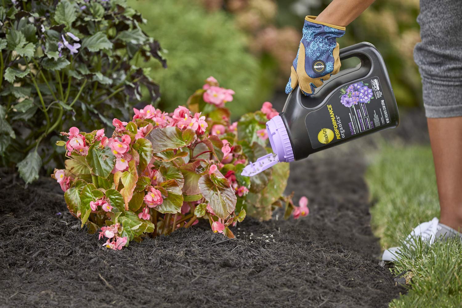Container garden fed by Miracle-Gro Performance Organics Blooms granules for vibrant container flowers