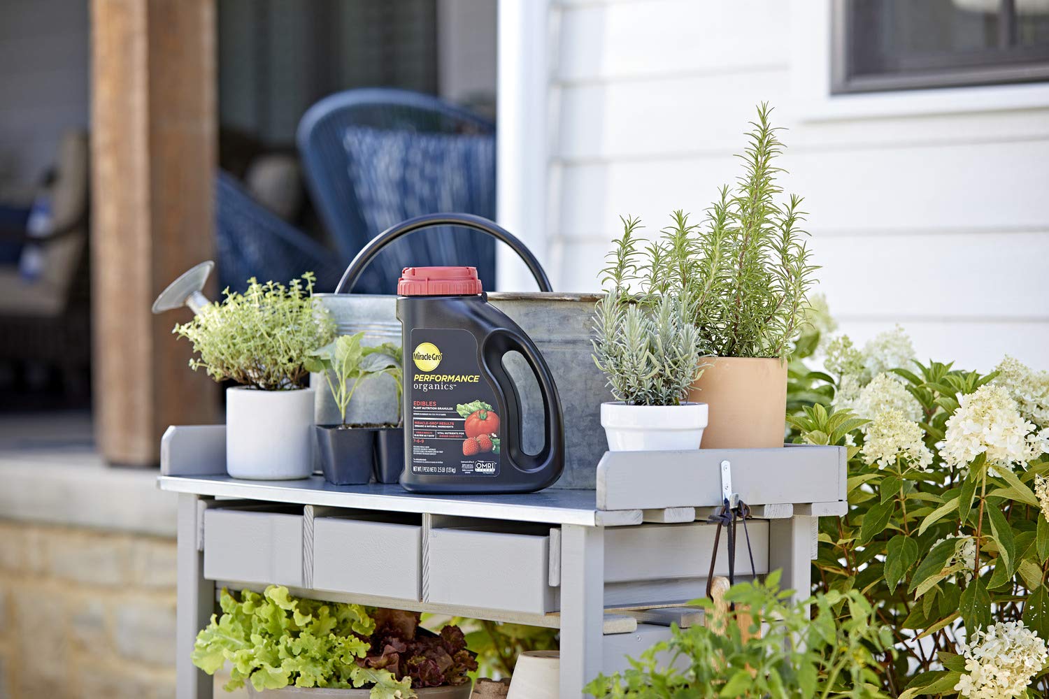 Watering after applying Miracle-Gro edibles granules starts feeding for healthy roots