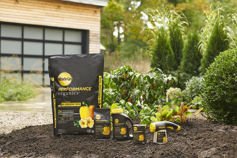 Garden Feeder delivering organic plant food while watering your plants.