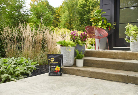 Miracle-Gro label close-up highlights organic ingredients and plant nutrition.