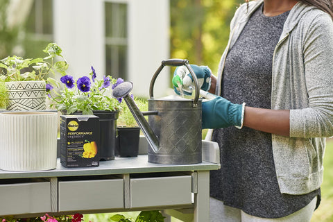 Miracle-Gro Performance Organics vegetables and herbs thriving in a bed