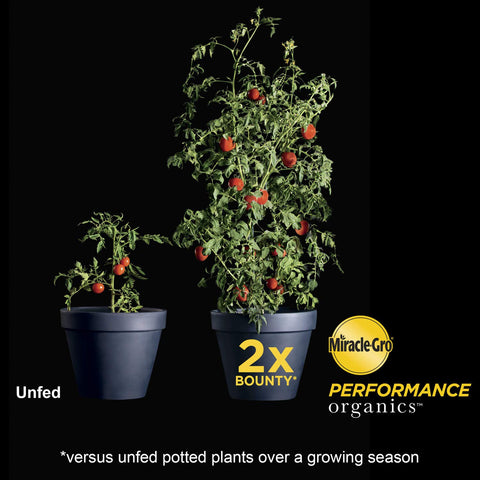 Two bags of Miracle-Gro Performance Organics container mix for ready garden setup.