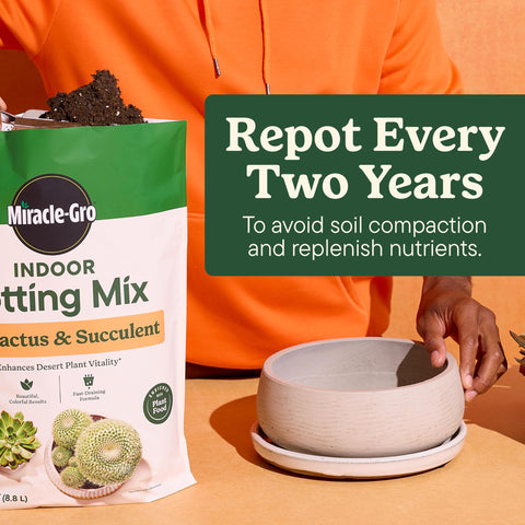 Miracle-Gro Indoor Plant Food applied to soil or mixed with water