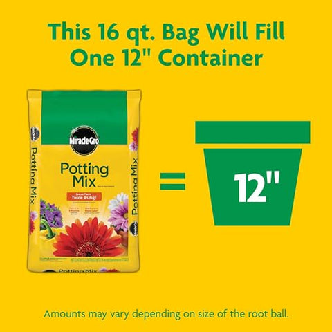 Planter labeled Miracle-Gro Potting Mix for 12-inch container