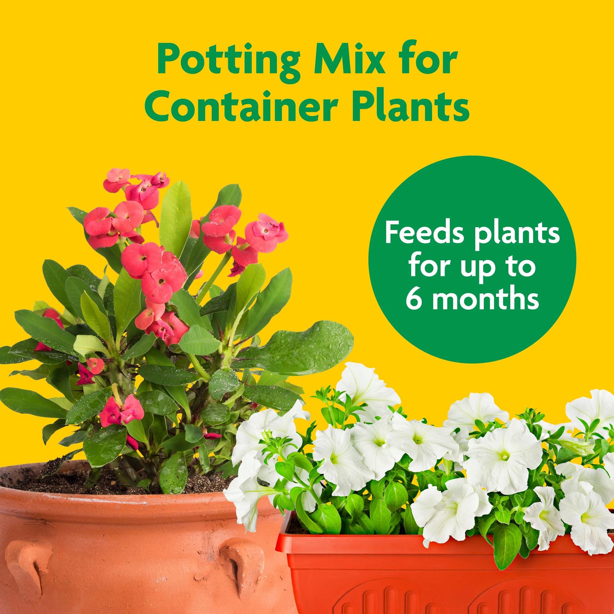 Miracle-Gro Potting Mix supports flowers and blooms with steady nutrients in pots.
