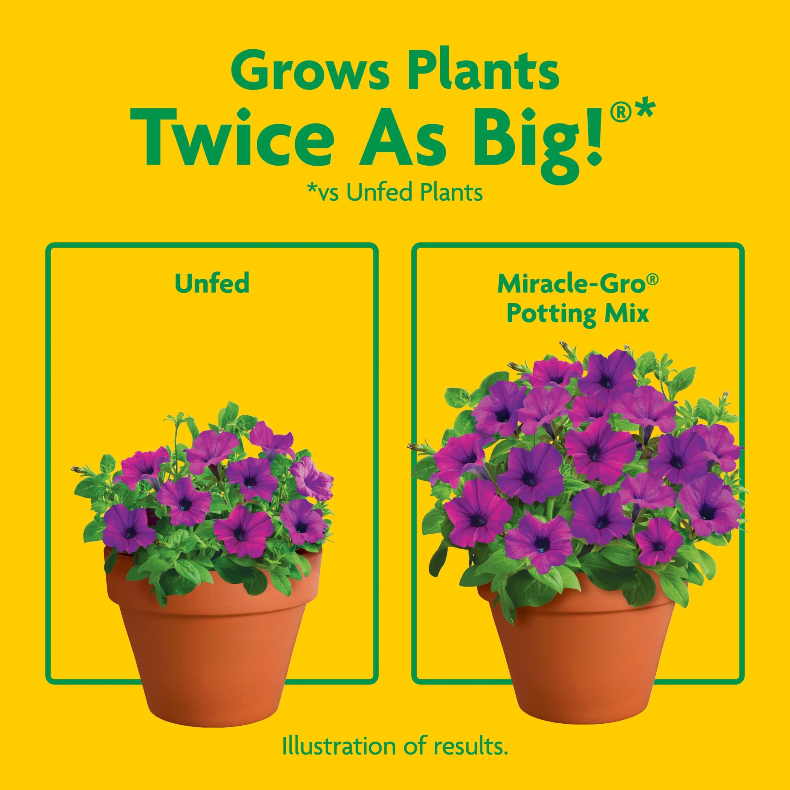 Herbs and vegetables thriving in Miracle-Gro Potting Mix
