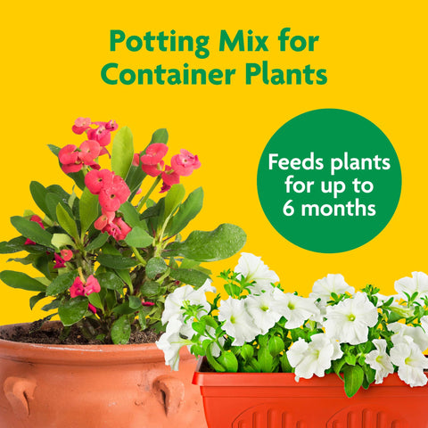 Miracle-Gro Potting Mix being added to a planter for vegetables