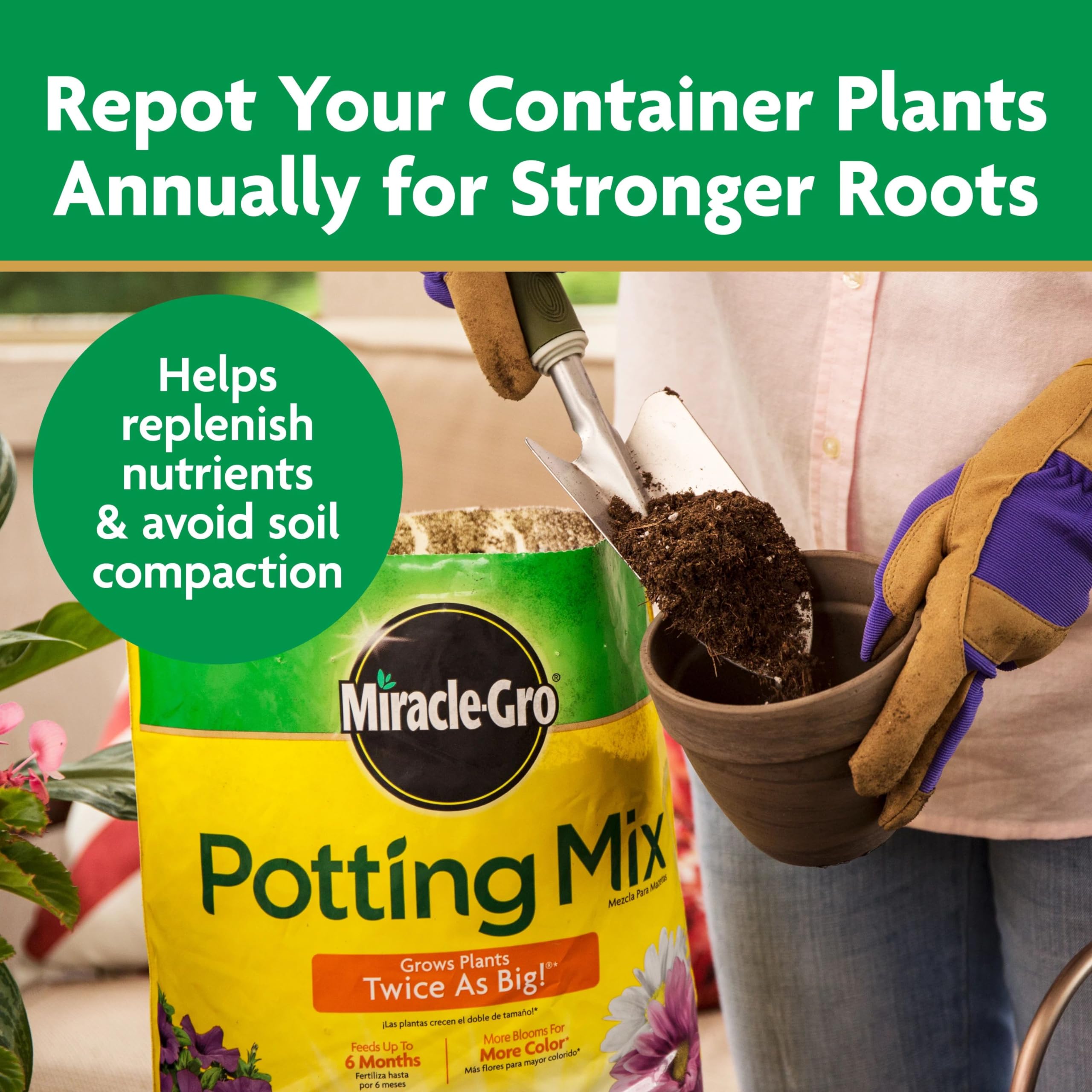 Root ball placed in pot with Miracle-Gro Potting Mix