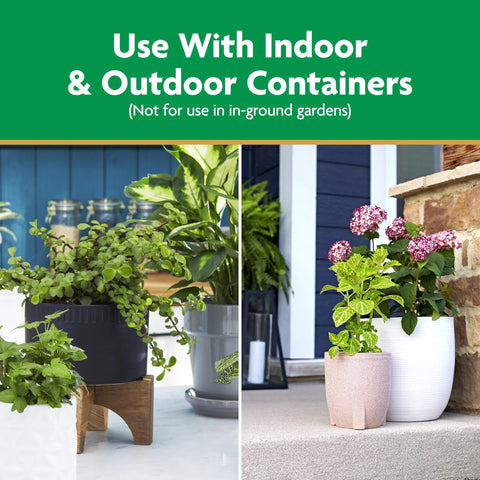 Container featuring roses thriving with Miracle-Gro Potting Mix
