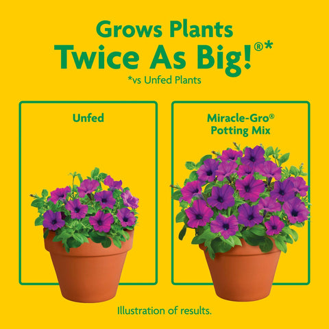 Miracle-Gro Potting Mix keeps shrubs and roses healthier in outdoor containers.