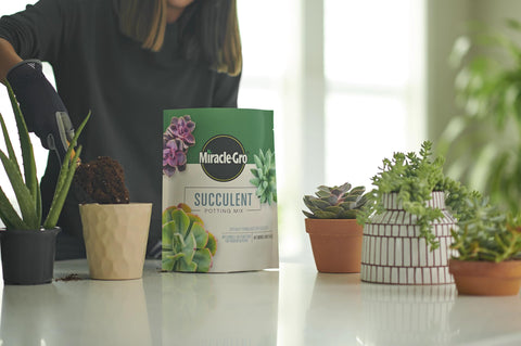 Miracle-Gro Potting Mix with Plant Food label indicating premium nutrition