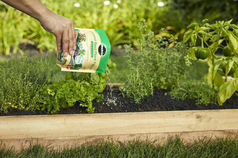 Granules of Miracle-Gro Raised Bed Plant Food ready to be sprinkled into soil.