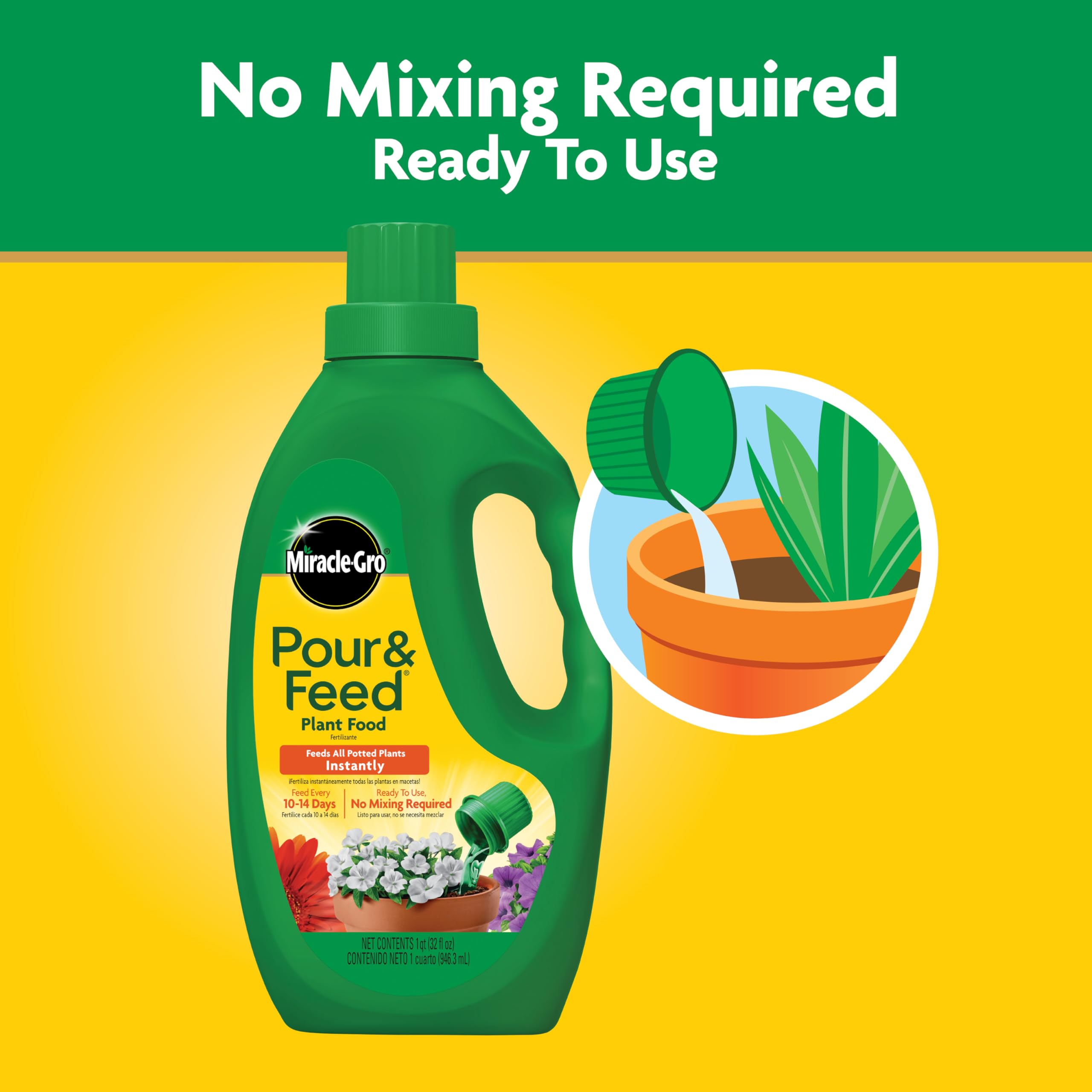 Indoor houseplants thrive with Miracle-Gro Pour & Feed.