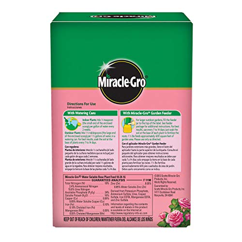 Miracle-Gro Rose Food dissolving in water for easy mixing.