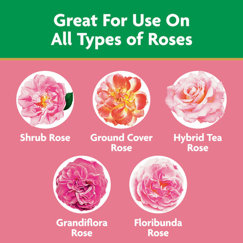 Miracle-Gro rose food feeder dispensing nutrients to roots