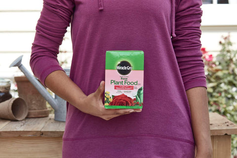 Indoor use: Miracle-Gro rose food mixed at 1/2 tsp per gallon.