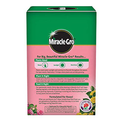 Pouring Miracle-Gro Rose Food into a watering can.
