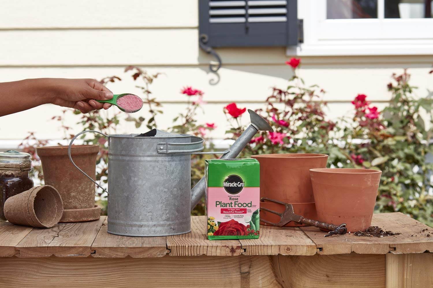 Two-pack Miracle-Gro Rose Food containers bundled for larger gardens.