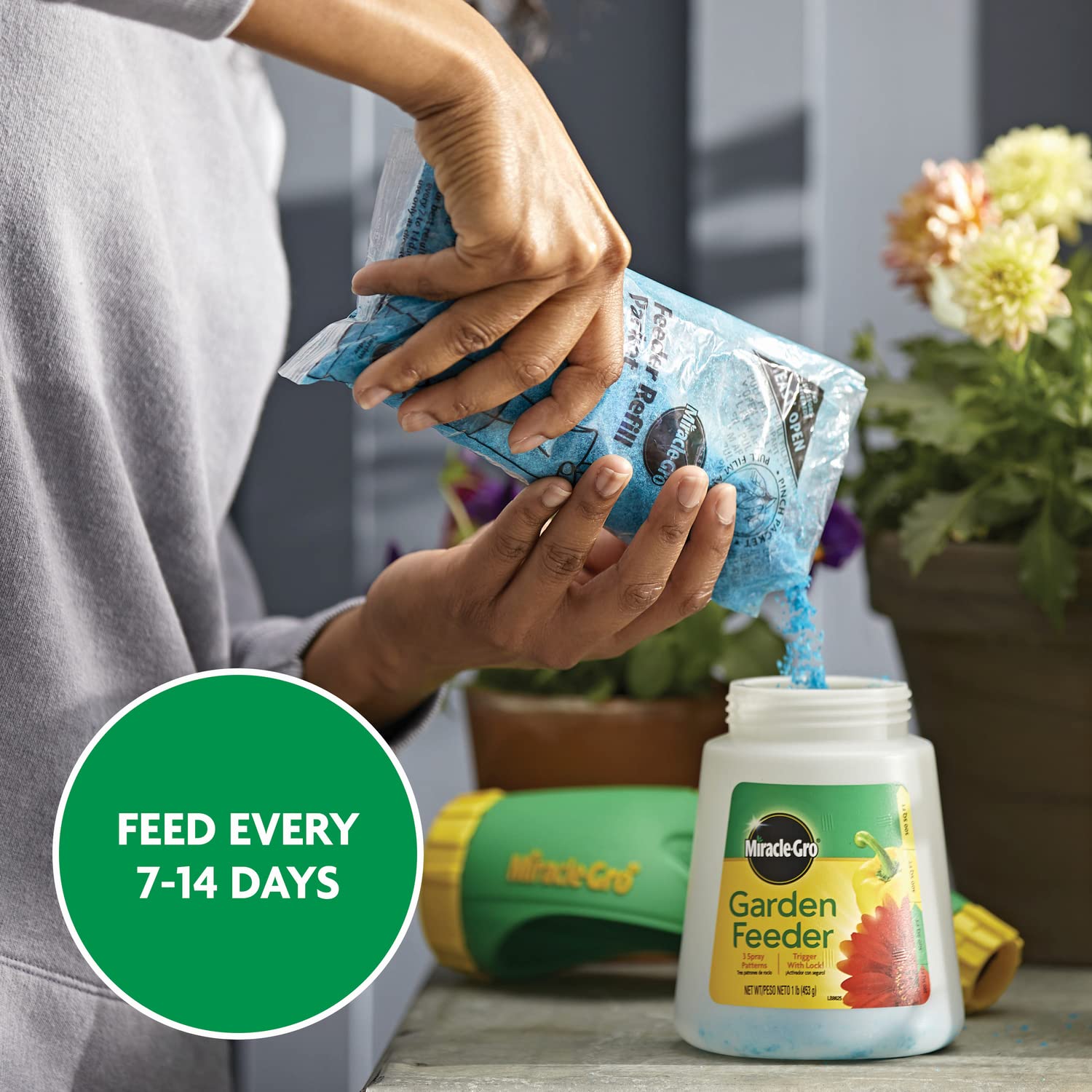 Container plants receiving Miracle-Gro feed for thriving blooms.