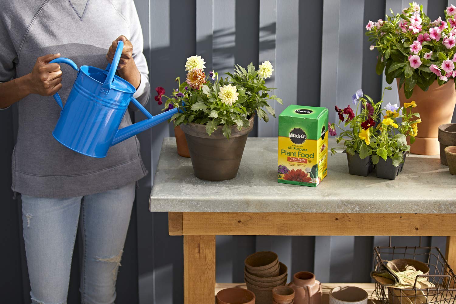 Safe for all plants—burn-free when used as directed with Miracle-Gro All Purpose Feed.