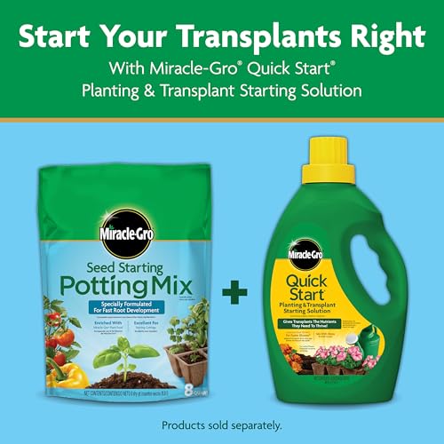 Seedling setup in a container using Miracle-Gro Seed Starting Potting Mix for home gardens