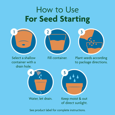 Starting cuttings in a container with Miracle-Gro Seed Starting Potting Mix