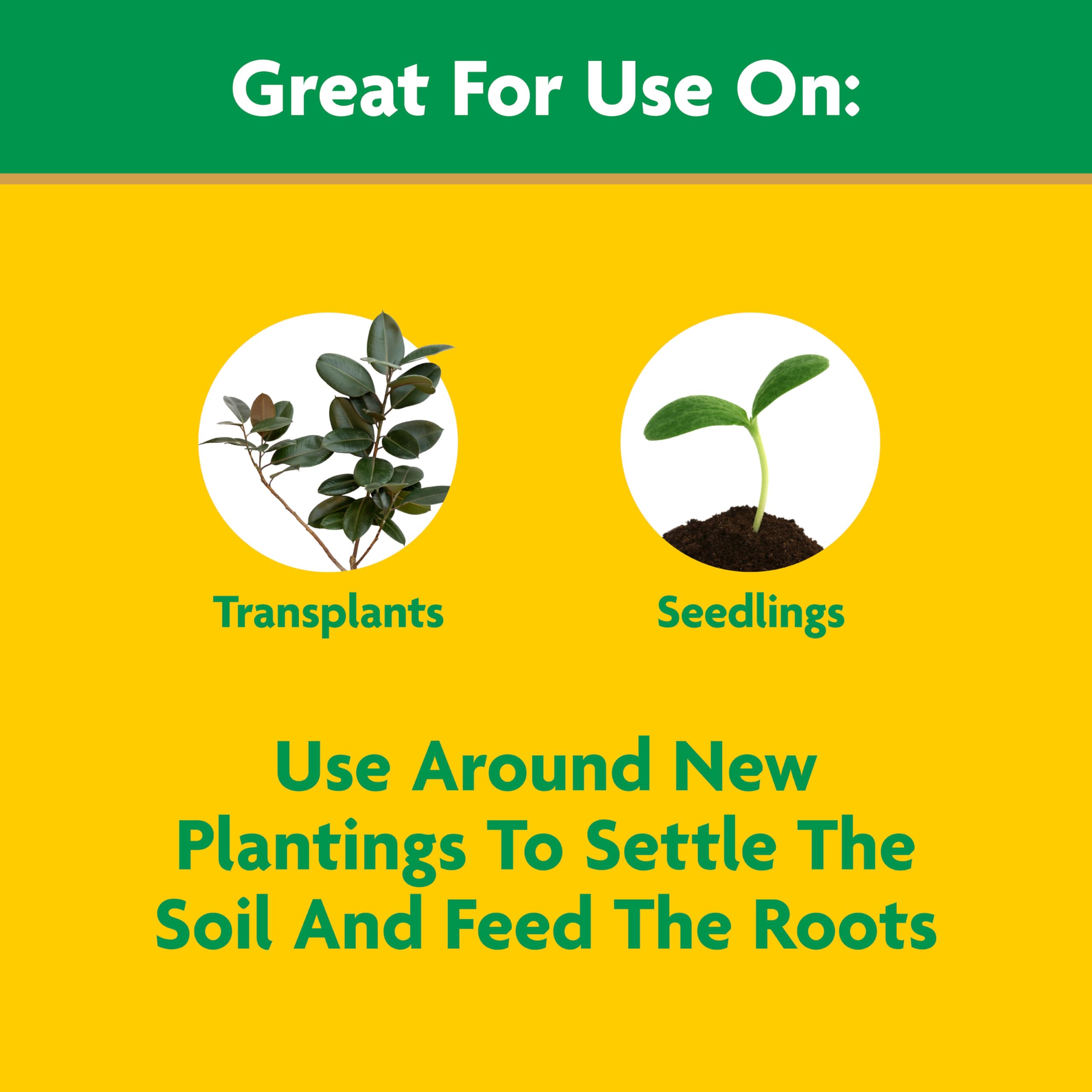 Miracle-Gro seedlings-transplants-application prepared in soil