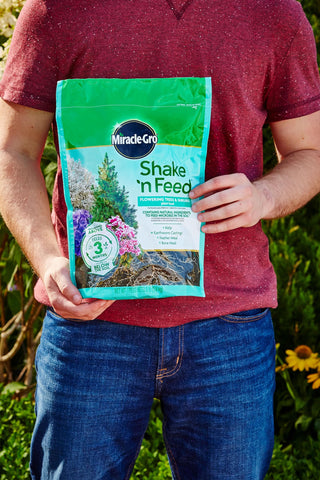 Acid-loving plants benefit from Miracle-Gro Shake 'N Feed's balanced nutrients.