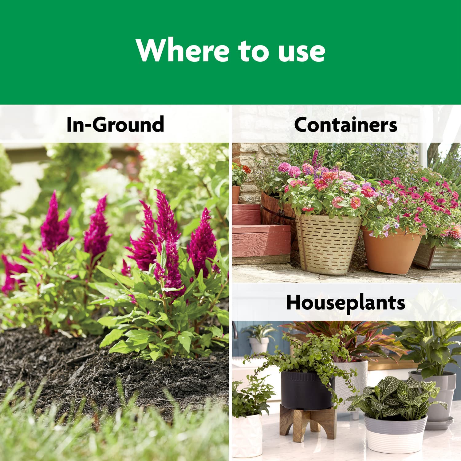 Bright blooms from feeding in flower beds and pots.