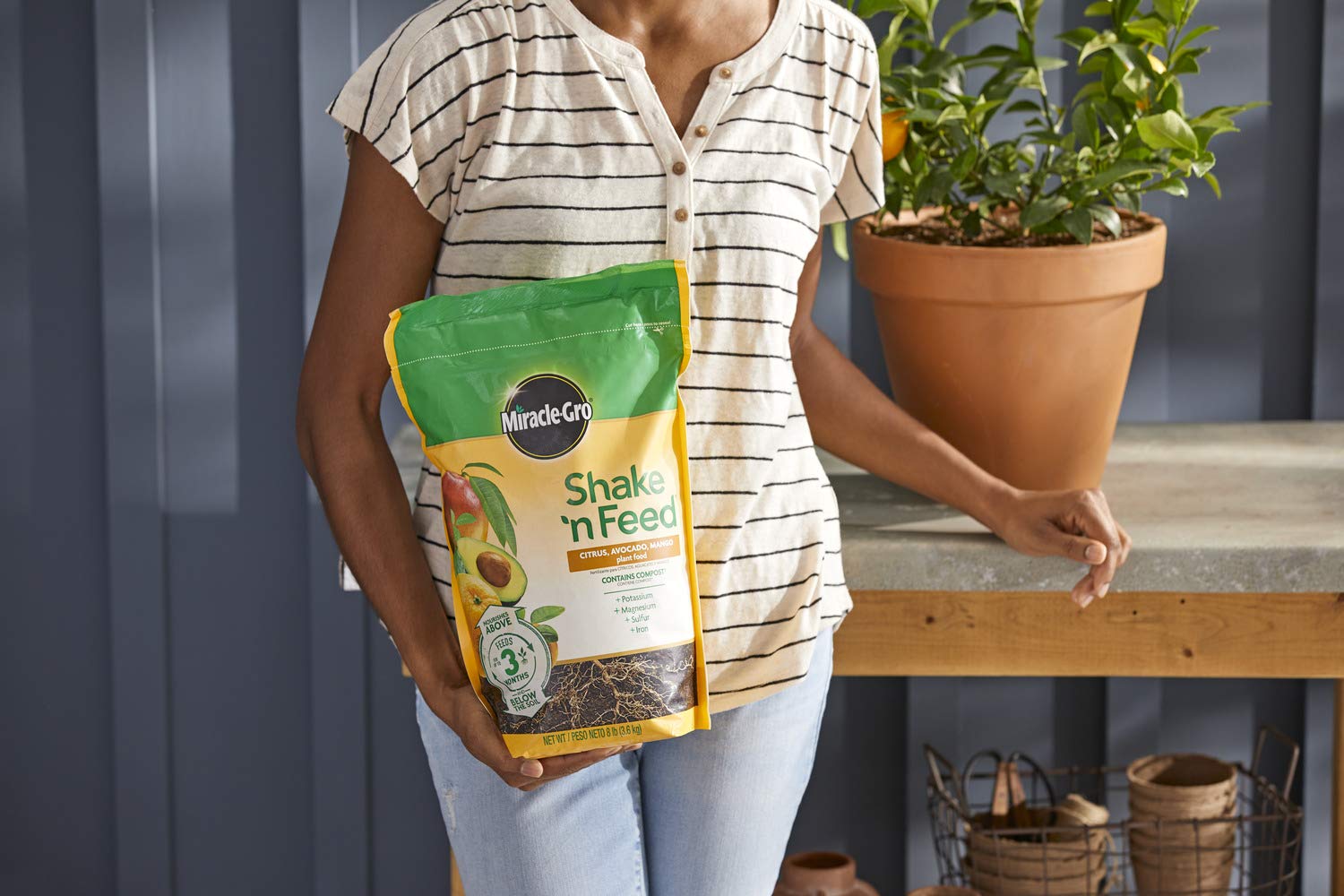 Miracle-Gro Shake 'n Feed root-boost focus supports resilient avocado trees