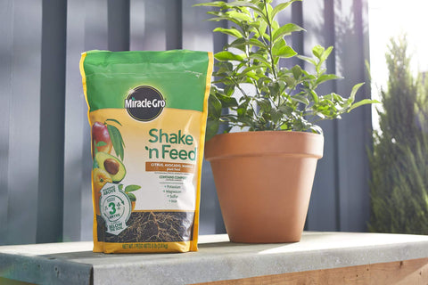 Miracle-Gro Shake 'n Feed slow-release capability supports long-lasting nourishment