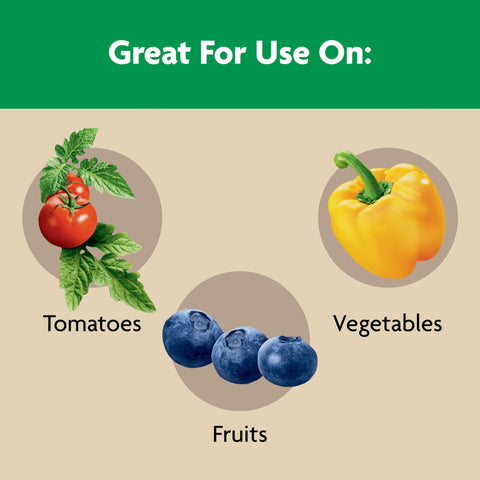 Miracle-Gro Shake 'N Feed used in a container garden for easy integration.