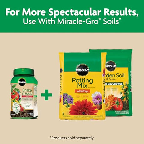 Miracle-Gro Shake 'N Feed in a container garden setup for plant nourishment.