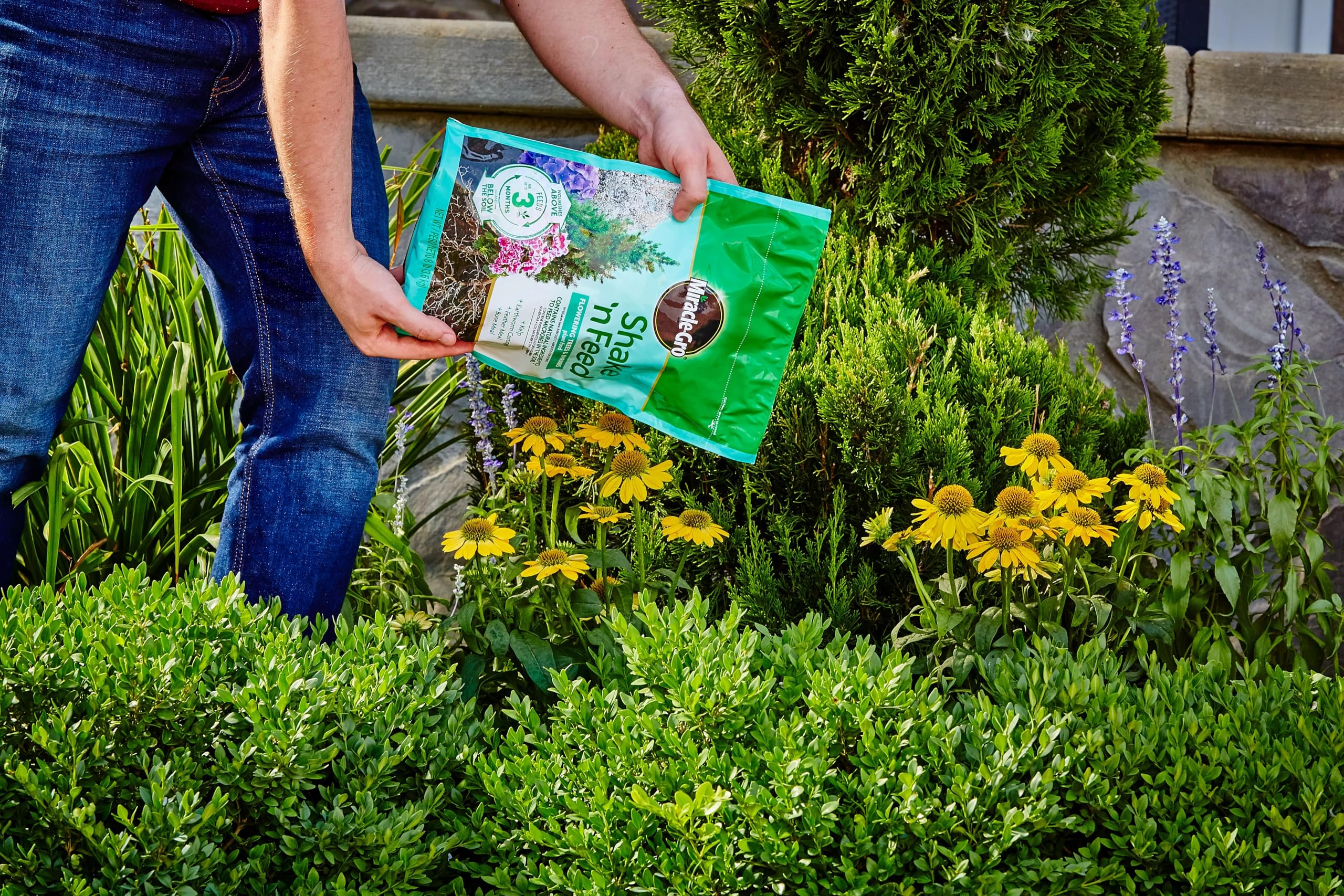 Container plants receive Miracle-Gro Shake 'N Feed for steady blooms.